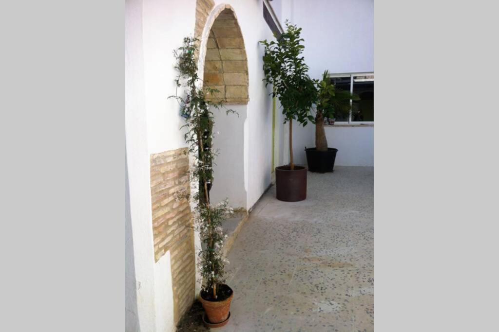 شقة Casa Florinda #7 جيريز المظهر الخارجي الصورة